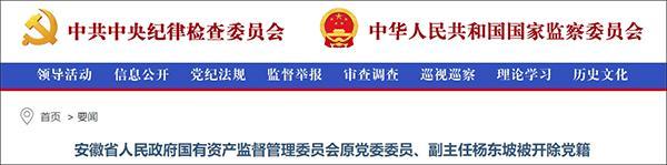 他被开除党籍：阅看有严重政治问题的电子读物